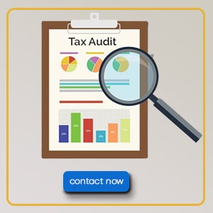 INCOME TAX AUDIT | ce info software solutions