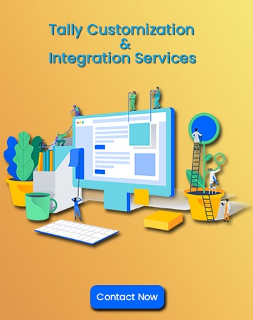 Tally Customization & Integration Services