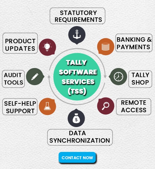 what is Tally Software Services | ce info software solutions